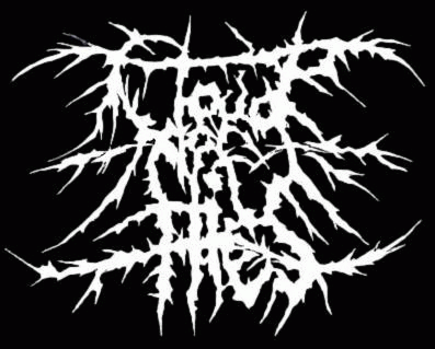 logo Cloud Of Flies logo Cloud Of Flies